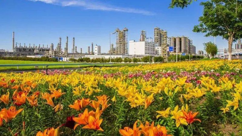 化工助剂：安全使用的守护者